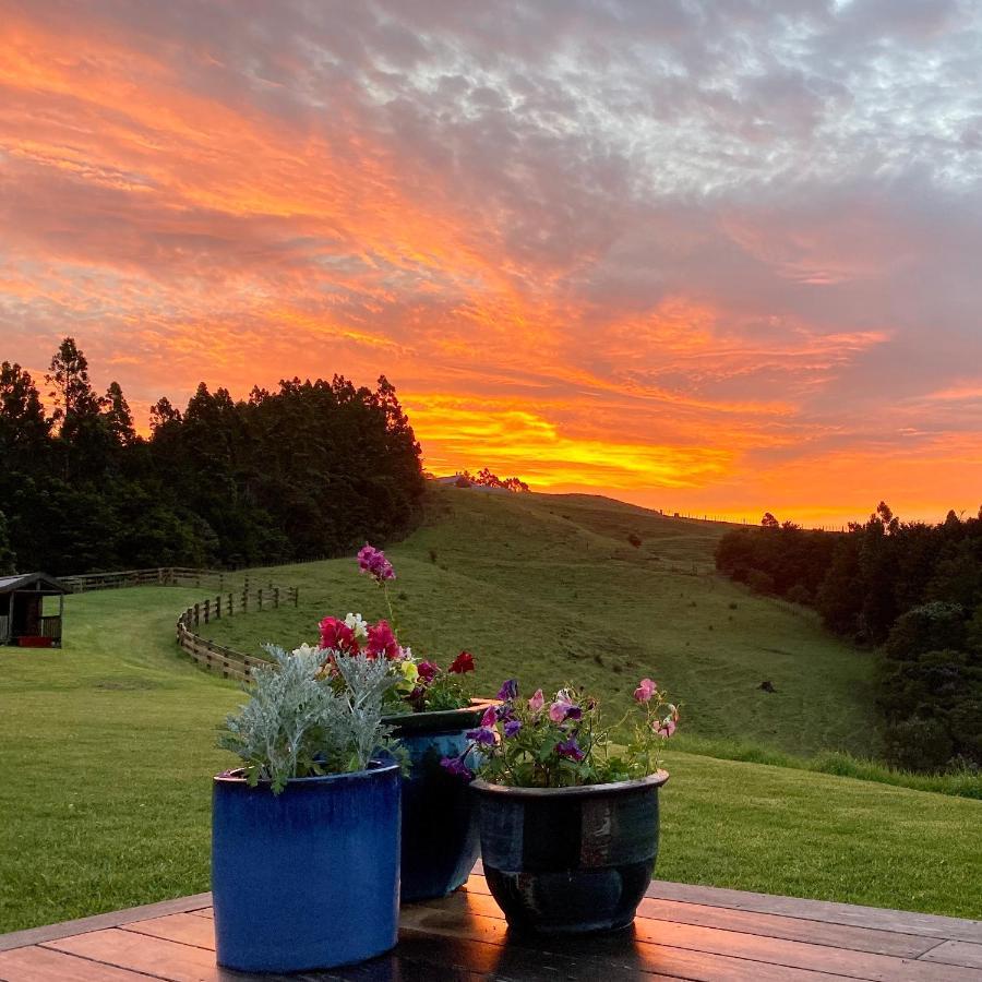 Kauri Glen Bnb Te Arai Exteriör bild