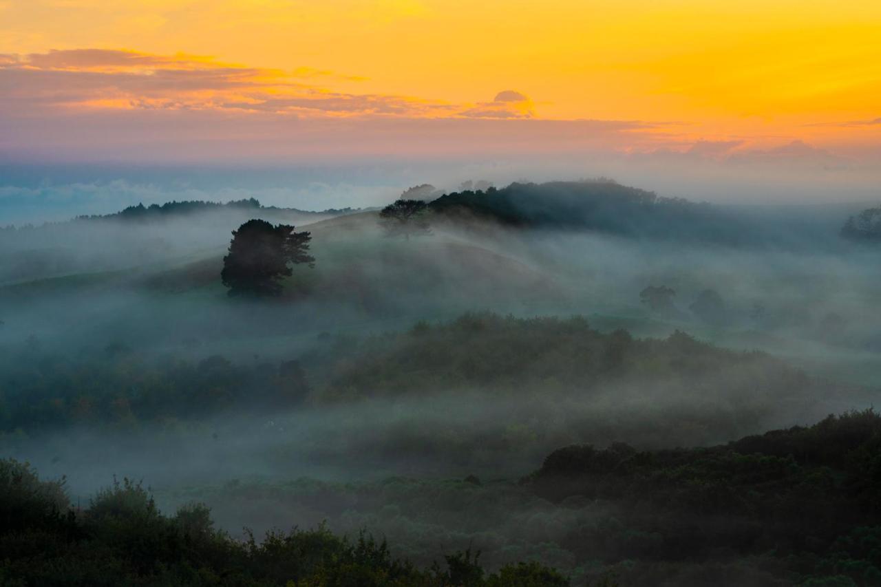 Kauri Glen Bnb Te Arai Exteriör bild