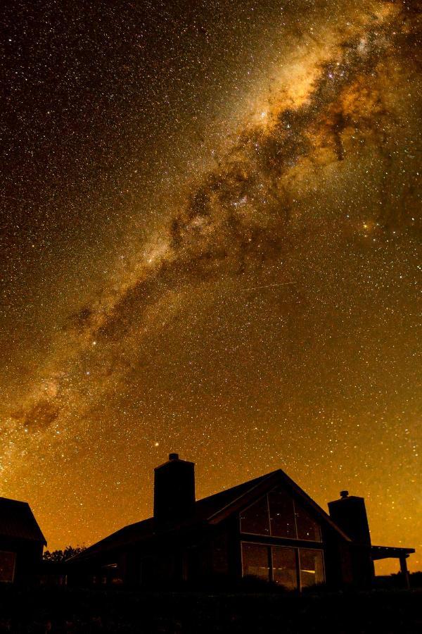 Kauri Glen Bnb Te Arai Exteriör bild