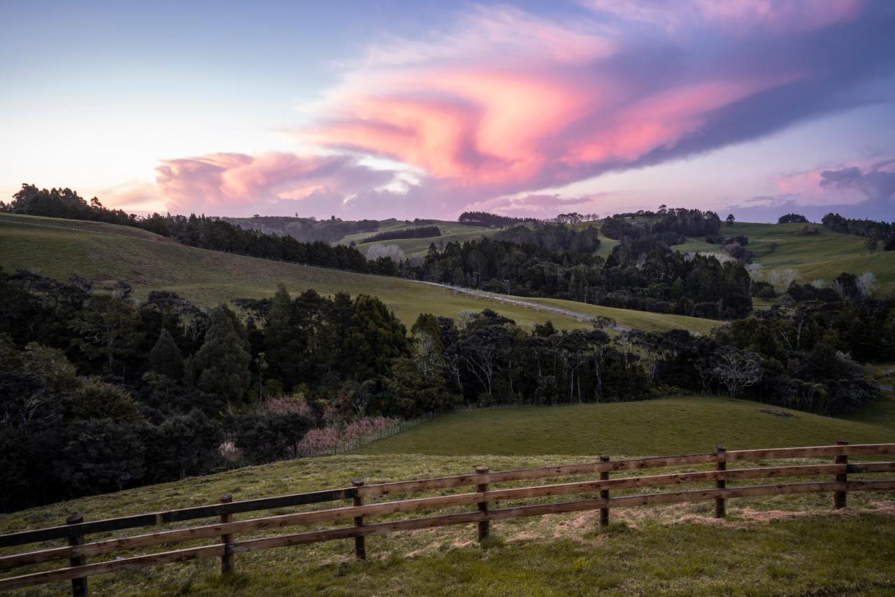 Kauri Glen Bnb Te Arai Exteriör bild