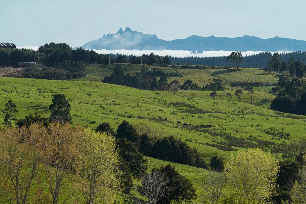Kauri Glen Bnb Te Arai Exteriör bild